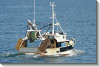 Saint-Malo (2007-08-10) Noguette dans le chenal