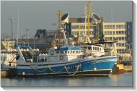 Saint-Malo (2008-12-30) Phoenix dans le bassin Bouvet