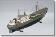 - (2008) Model of Volontaire